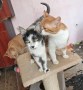 Spot_Co (2)